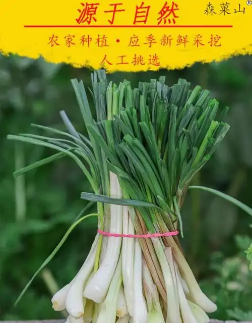 新鲜荞头带叶 四川达州现挖农家自种大竹特产茭头带叶生叫头教头乔