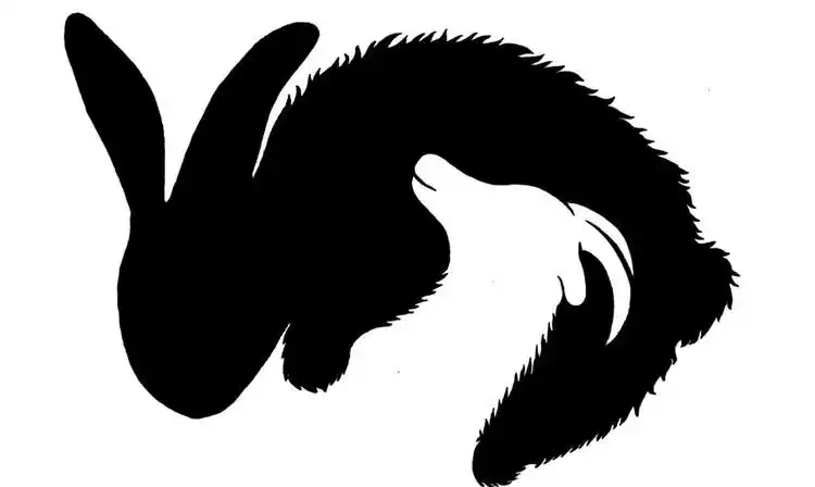 第四次作业 运用图底关系 将十二生肖动物相互组合/十二生肖与英文