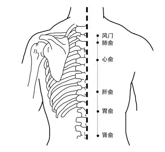 肝俞穴定位:位于背部脊椎旁边,第九胸椎棘突下,左右二指宽处.