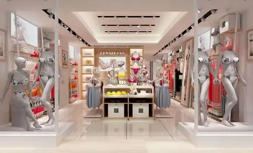 背景:内衣店的老板叫李佳佳,是福建人,主要从事中高端用户群体内衣