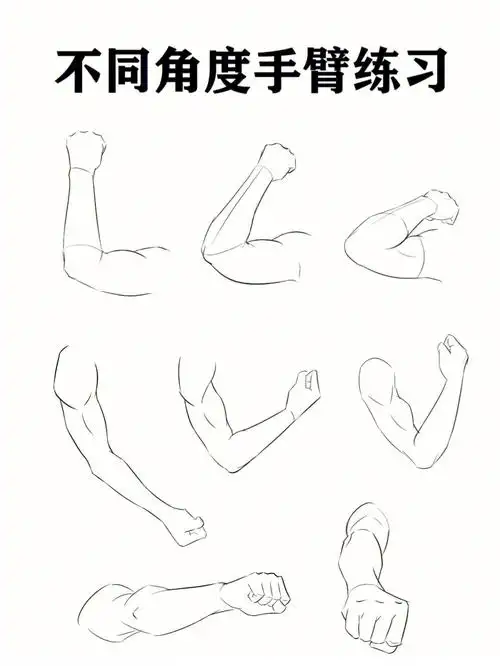 画  #手臂结构  #小红书成长助手@小红书创作学院@小红书成长笔记@薯