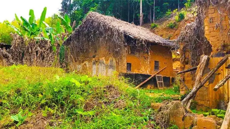 广东河源发现一无人村,一片荒凉,6点钟前必须离开?