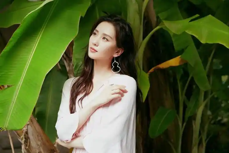 娱乐连连看:肖战,刘诗诗,魏大勋,程潇,孟子义,关晓彤_贾玲_事业_公司