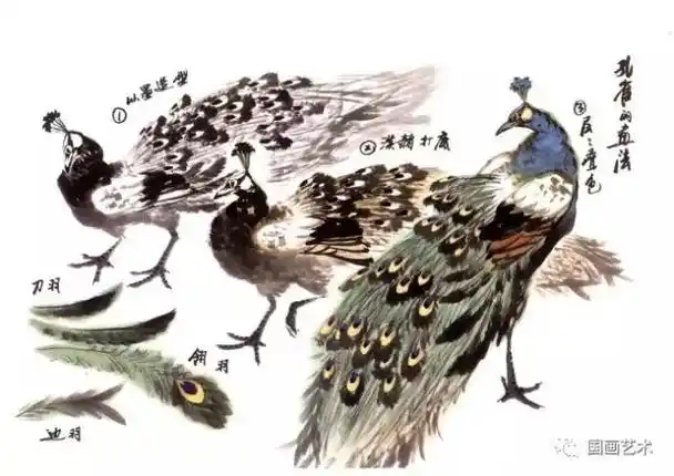 教学视频:跟徐湛老师学画写意孔雀_国画艺术_零二七艺考