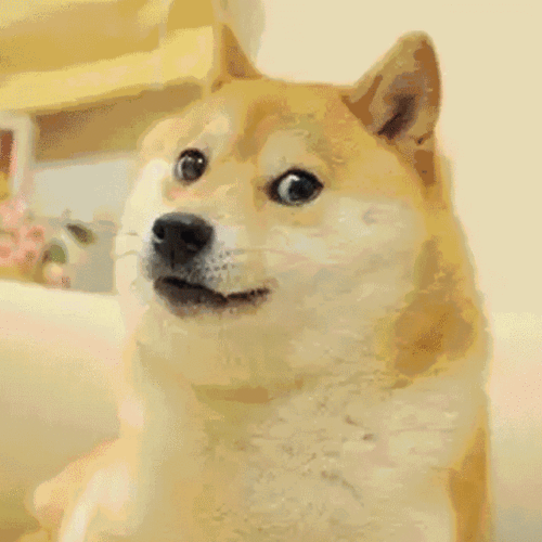 传神爆笑的表情包网红?感人至深的忠犬八公?