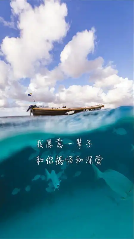 爱情说说:遇见你,刚好的年纪