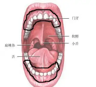 你是否会喝茶喝茶的12个技术动作