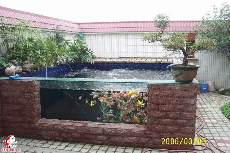 [zt]阳台露台鱼池照片集合!