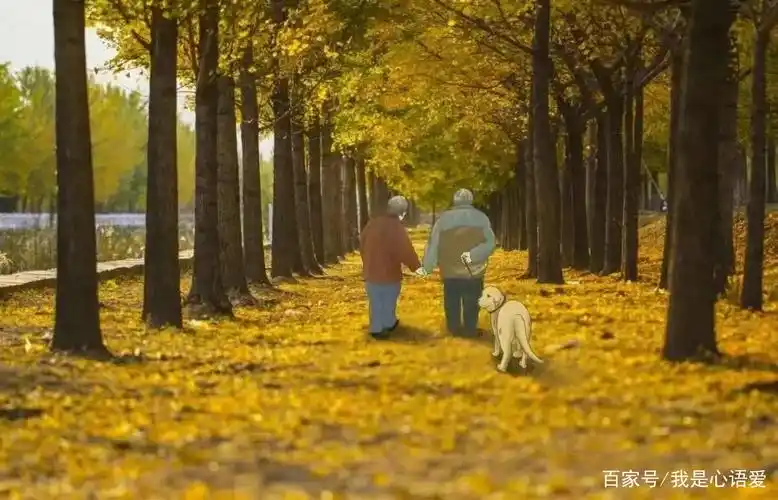 我们未曾像父母一样老去但他们却曾如我们一样年轻