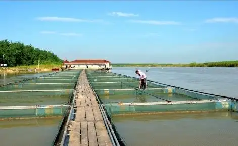 网箱养鱼
