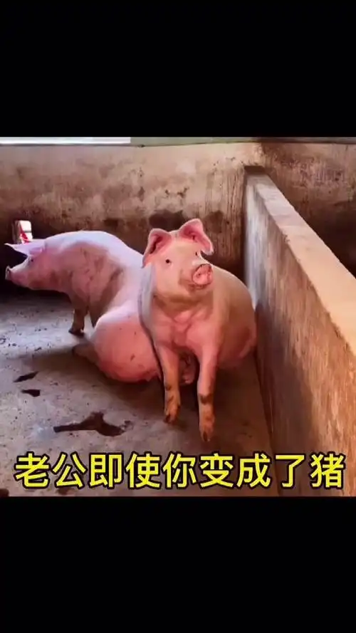 0w2021/06/04 11:06:20视频时长:8秒我今天一定要买粉底液#艾特你想