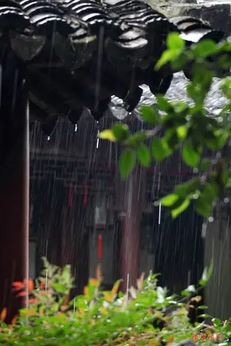 梅雨绵绵沧浪亭