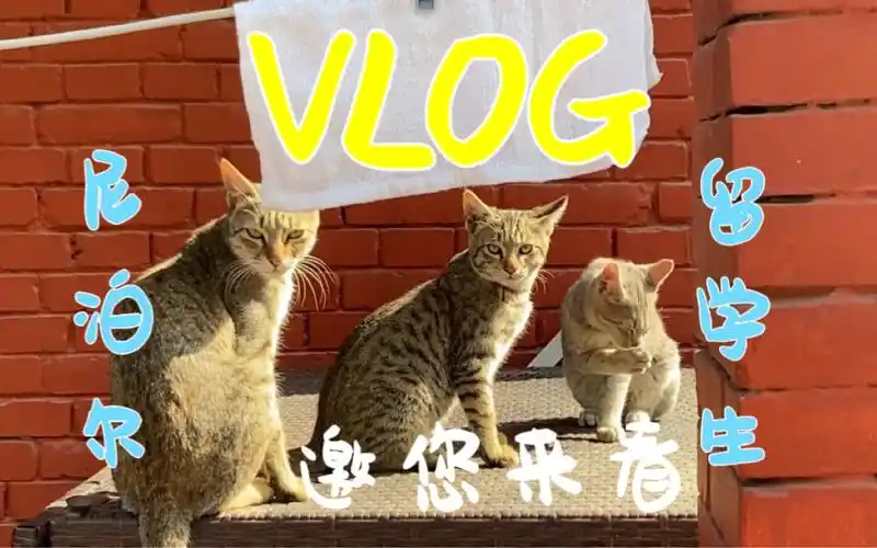 「在尼泊尔周末怎么过?