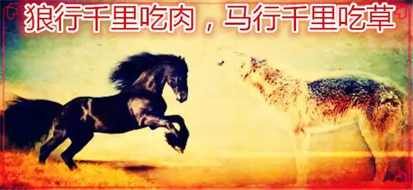 狼行千里吃肉,马行千里吃草,活鱼逆流而上,死鱼随波逐流.