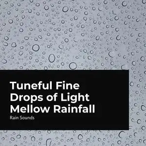tuneful fine drops of light mellow rainfall