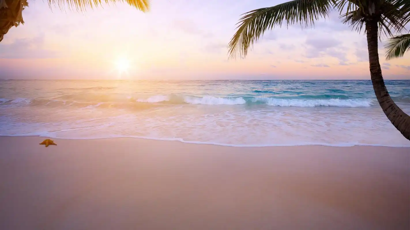 椰林树影下的金色沙滩唯美高清桌面壁纸高清大图预览1920x1080_风景壁