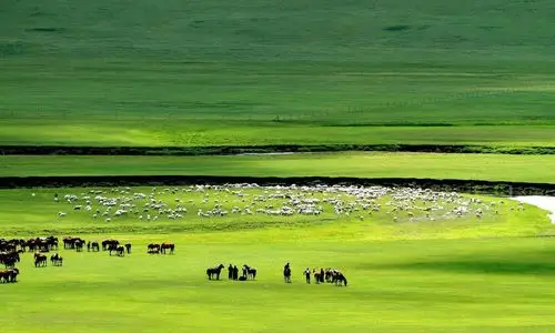 祖国的绿色宝库,辽阔的内蒙古大草原,梦中的地方