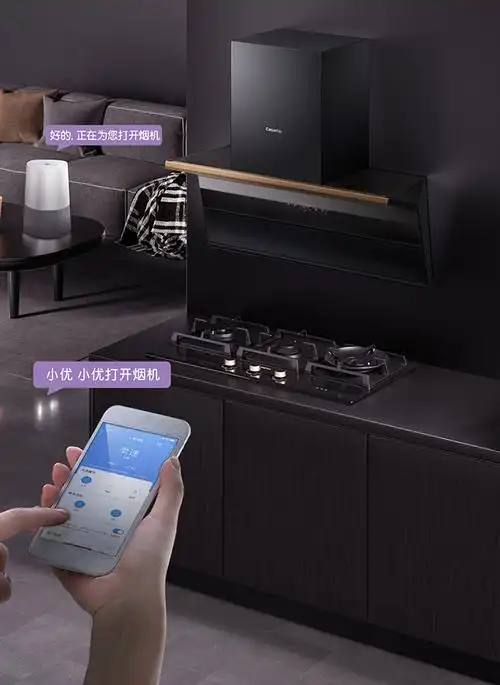 【海尔(haier)油烟机cxw-258-c6q90fgu1】 卡萨帝抽油烟机 大宅专用抽