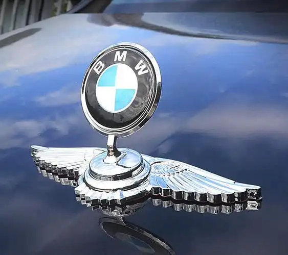 绝对中二的选择立标宝马