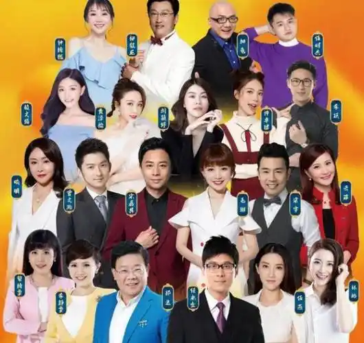 刘颖婷回应广东台变成卖药台,她直言没有策划就不会有电视节目了_卫视