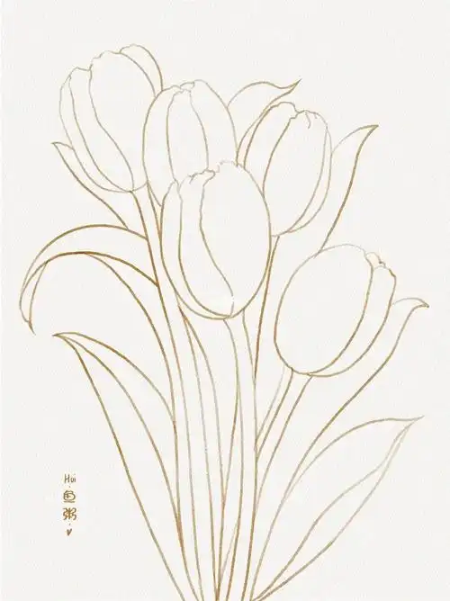 白色郁金香附线稿