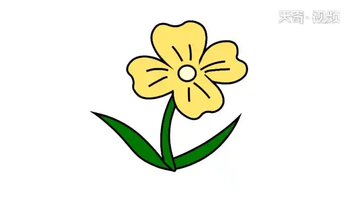 夜来香简笔画夜来香简笔画怎么画