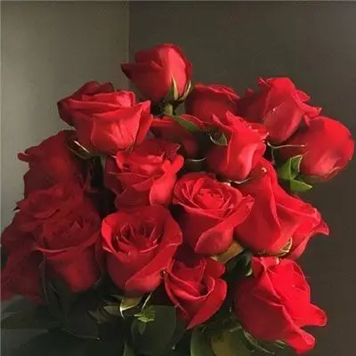 2021浪漫好看的很个性红色玫瑰花图片 别人喜欢你你就要珍惜别人的