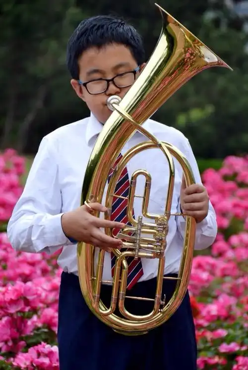 次中音号:是铜管乐器,又称瓦格纳大号,它比长号的音色更柔美,比圆号的