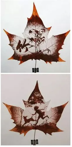 绝美的树叶雕刻,令人惊叹!