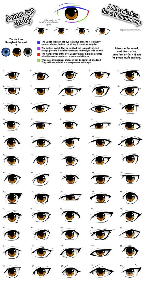 60种眼睛的形状