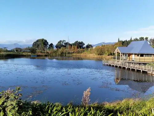抚仙湖月亮湾湿地美景