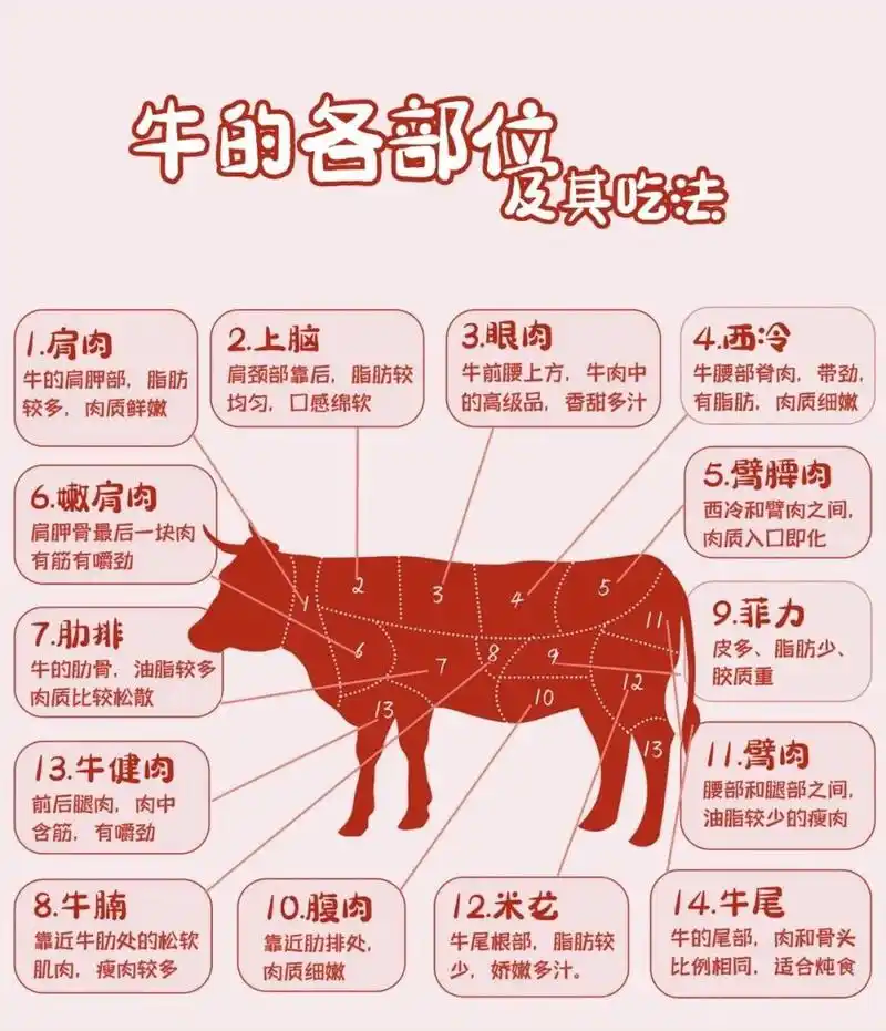 一张图让你轻松认识牛肉的各种部位!