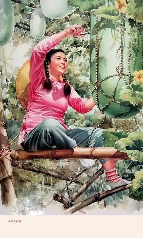 《冬瓜上高楼》,金梅生绘,1959年