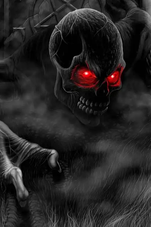 猫的相册骷髅纹身死神