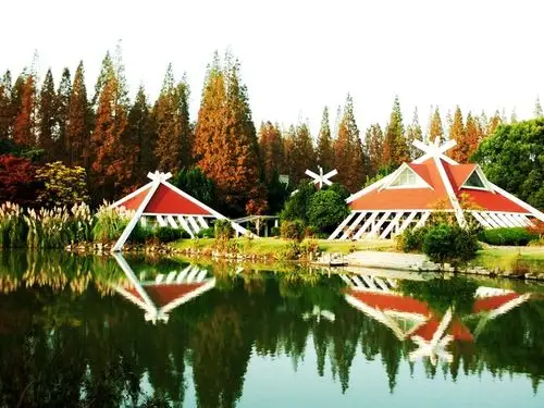 好消息崇明东平国家森林公园办年卡啦超值年卡畅游东平国家森林公园