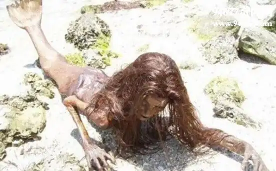 人类对美人鱼的相关记载