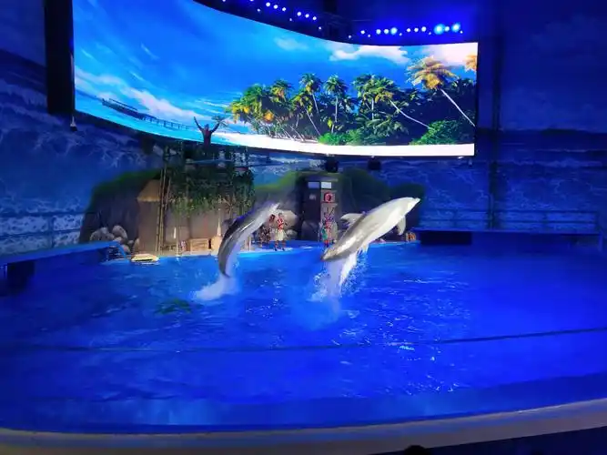 南宁极地海洋世界有什么动物观看