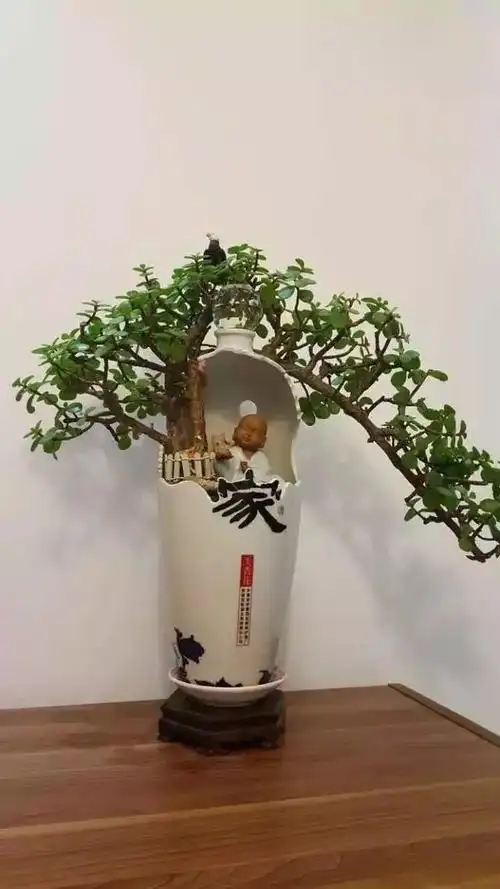 废酒瓶当花盆竟比买来的还要好看n万倍