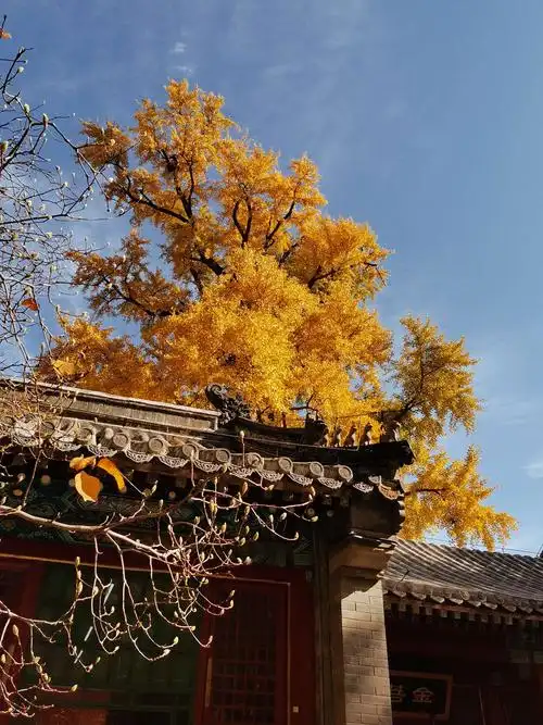 古寺秋色——潭柘寺游记