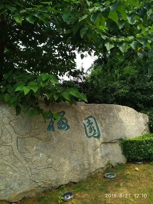 榴园在西安古城墙南门附近,看似是一处街边公园,里面有很多石榴树