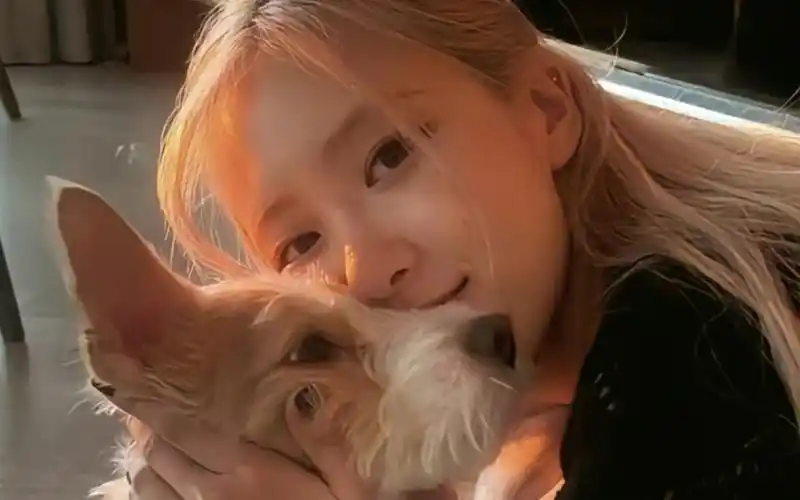 小手一指,唱跳开始!#rose朴彩英#black pink#陈泽#混剪