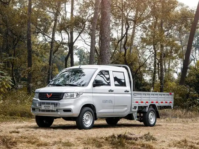 上汽通用五菱 五菱荣光新卡 2021款 1.5l汽车下乡版lv1加长双排l3c