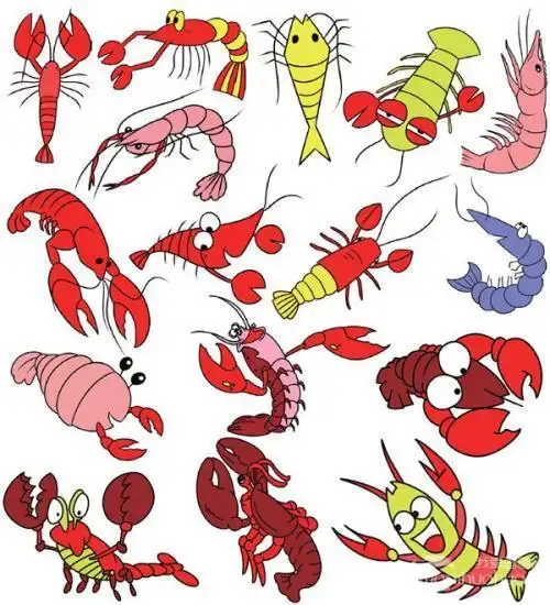 虾简笔画画法彩色