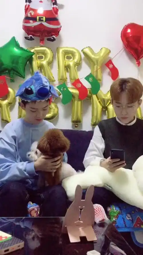 今天给你们看看刺猬～@嘉哥dreamer