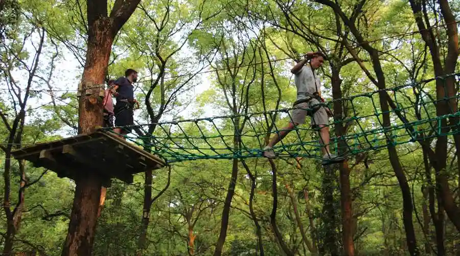 重庆飞越丛林探险乐园歌乐山园区