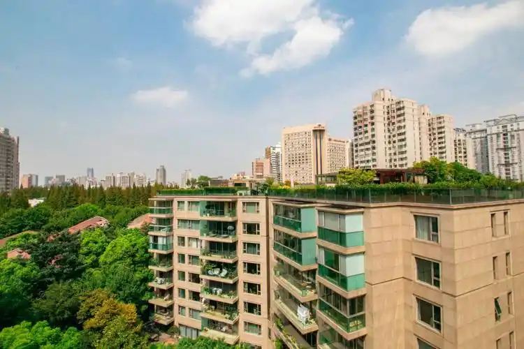 新华路一号顶复带大露台多套房源在售