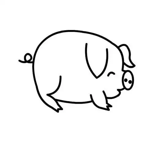 肥猪简笔画图片可爱的小肥猪简易画法