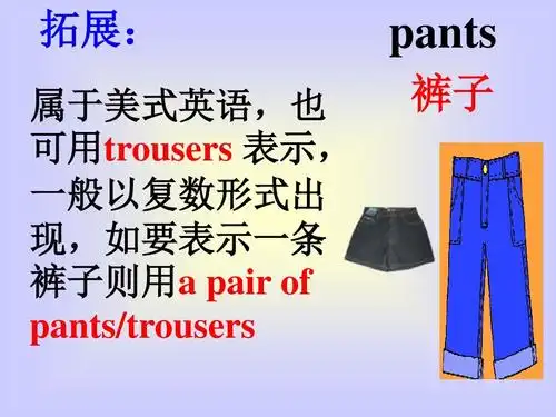pants 裤子