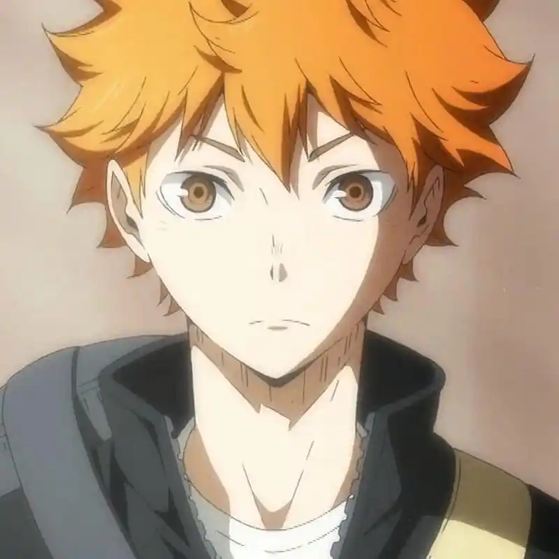 日向翔阳,出自日本漫画《排球少年!