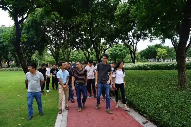 龙华区公园管理中心赴广州学习林下空间景观提升专报